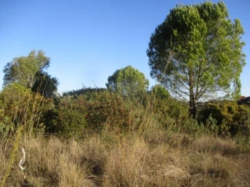 Terreno para Venda em Carregueiros