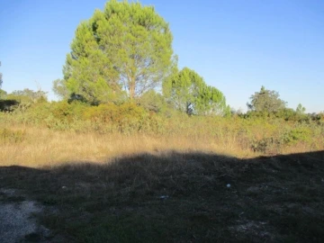 Terreno para Venda em Carregueiros