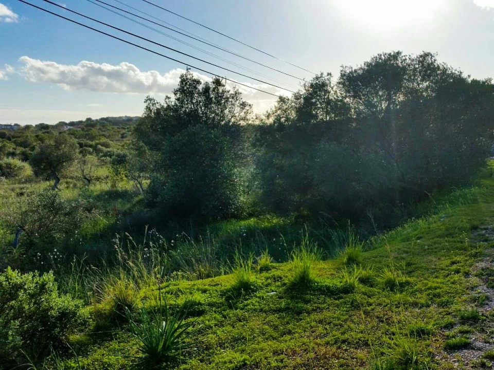 Terreno para Venda em São Bartolomeu de Messines Foto 3