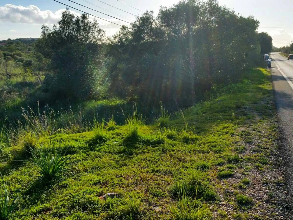 Terreno para Venda em São Bartolomeu de Messines Foto 11