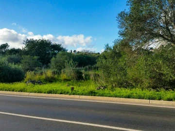 Terreno para Venda em São Bartolomeu de Messines