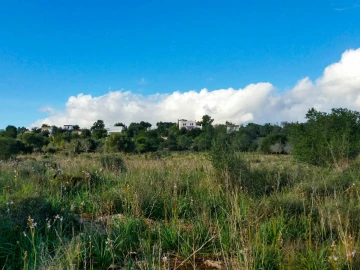 Terreno para Venda em São Bartolomeu de Messines
