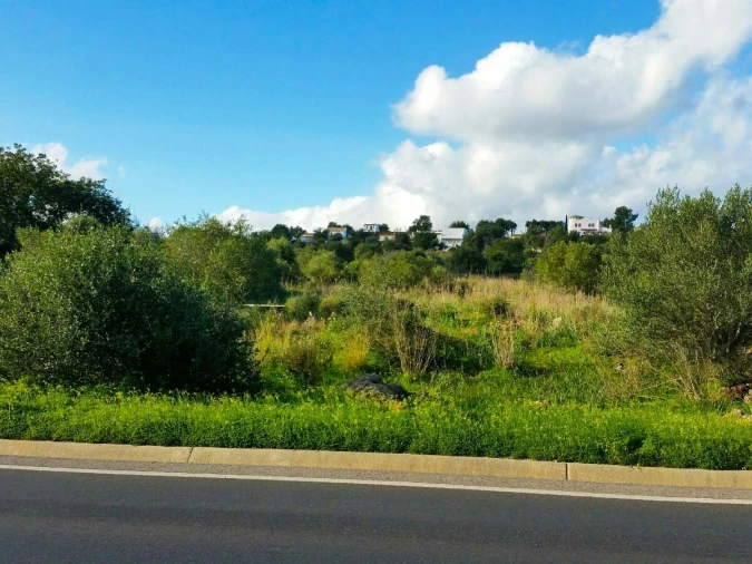 Terreno para Venda em São Bartolomeu de Messines Foto 6