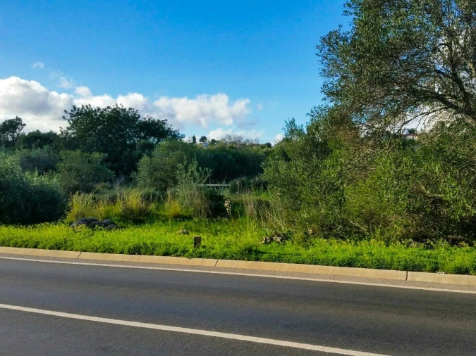 Terreno para Venda em São Bartolomeu de Messines Foto 10