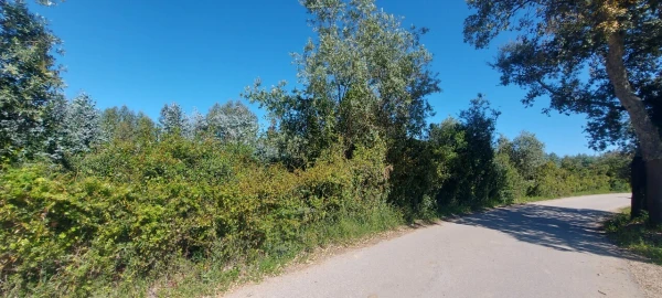 Terreno para Venda em Torres Novas (Santa Maria, Salvador e Santiago)