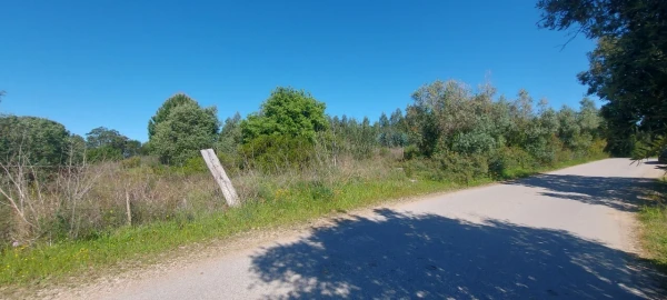 Terreno para Venda em Torres Novas (Santa Maria, Salvador e Santiago)