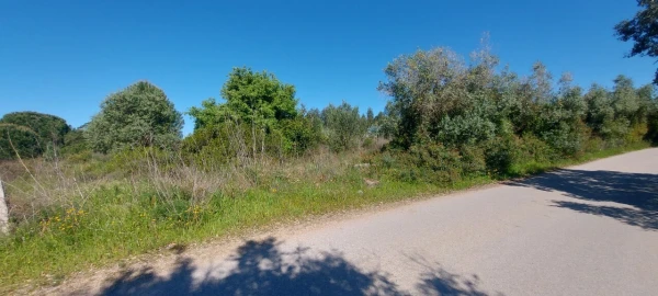Terreno para Venda em Torres Novas (Santa Maria, Salvador e Santiago)