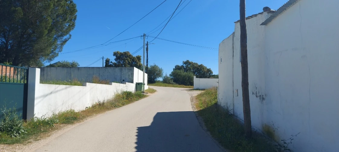 Terreno para Venda em Torres Novas (Santa Maria, Salvador e Santiago) Foto 4