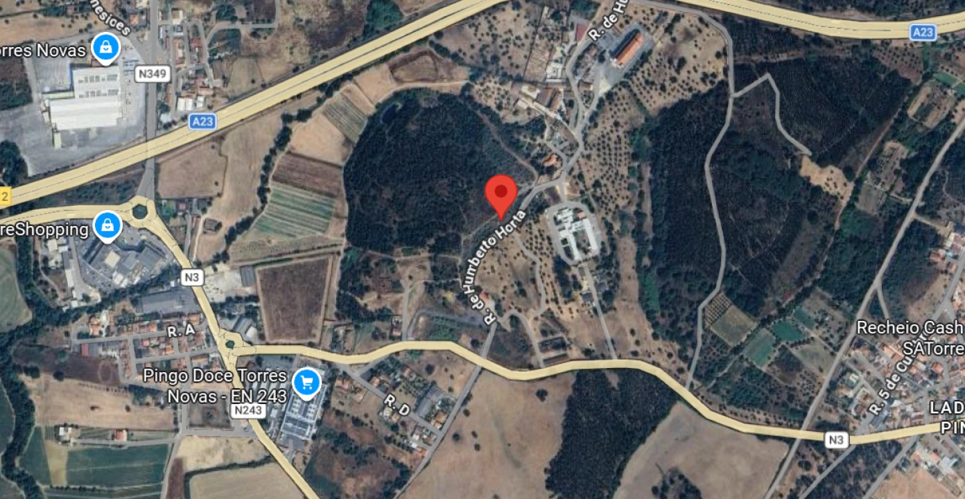 Terreno para Venda em Torres Novas (Santa Maria, Salvador e Santiago) Foto 1