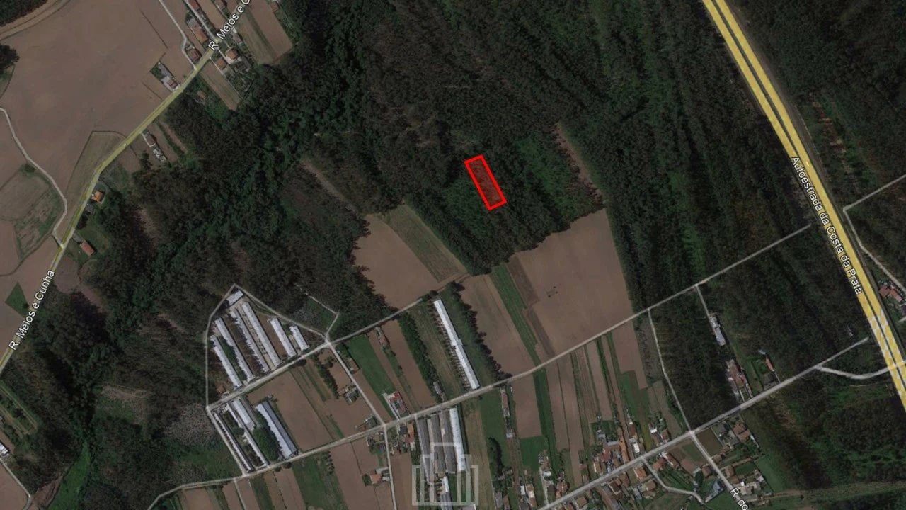 Terreno Agricola ou Rústico para Venda em Ovar, São João, Arada e São Vicente de Pereira Jusã Foto 1