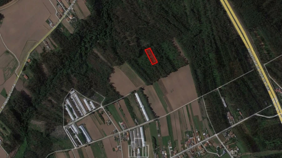 Terreno Agricola ou Rústico para Venda em Ovar, São João, Arada e São Vicente de Pereira Jusã