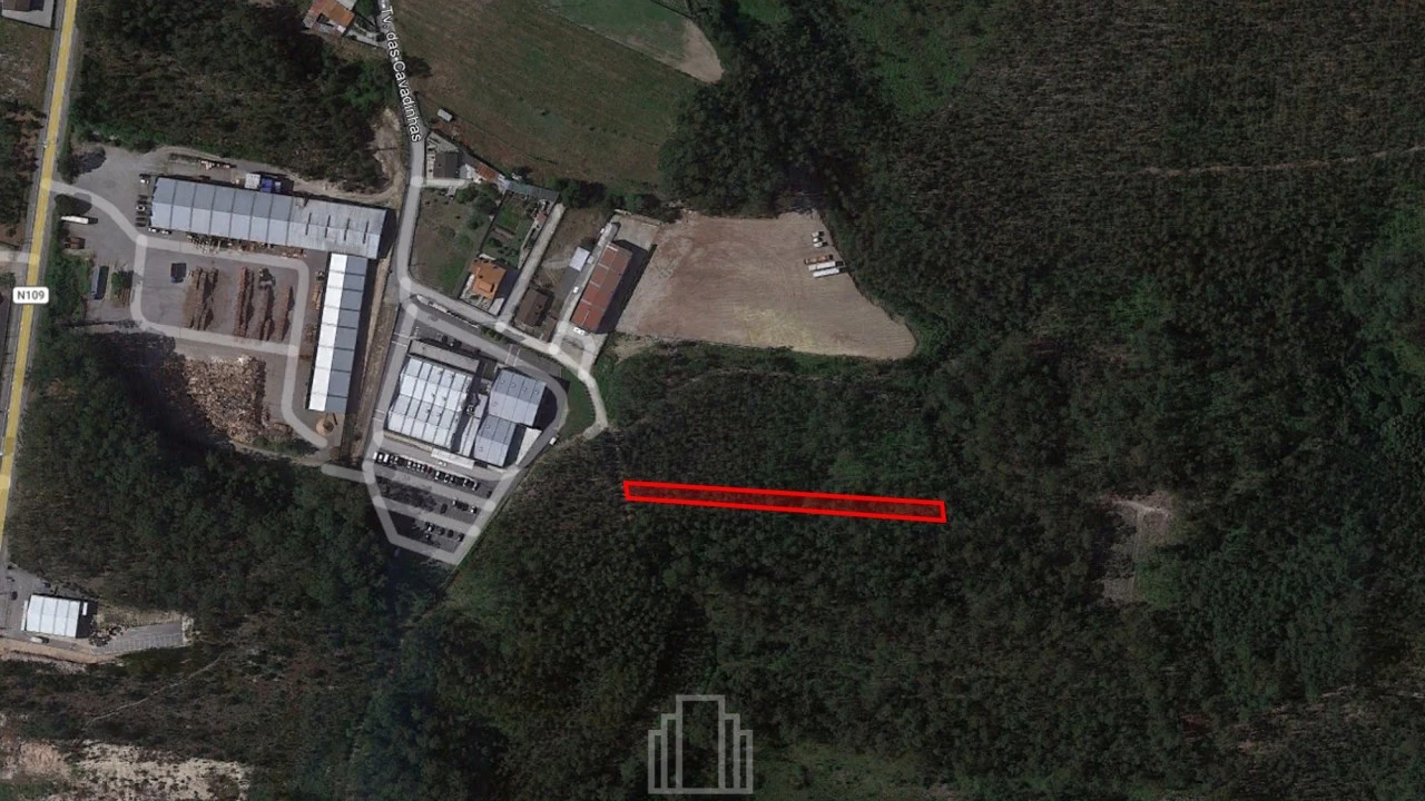 Terreno Agricola ou Rústico para Venda em Ovar, São João, Arada e São Vicente de Pereira Jusã Foto 1