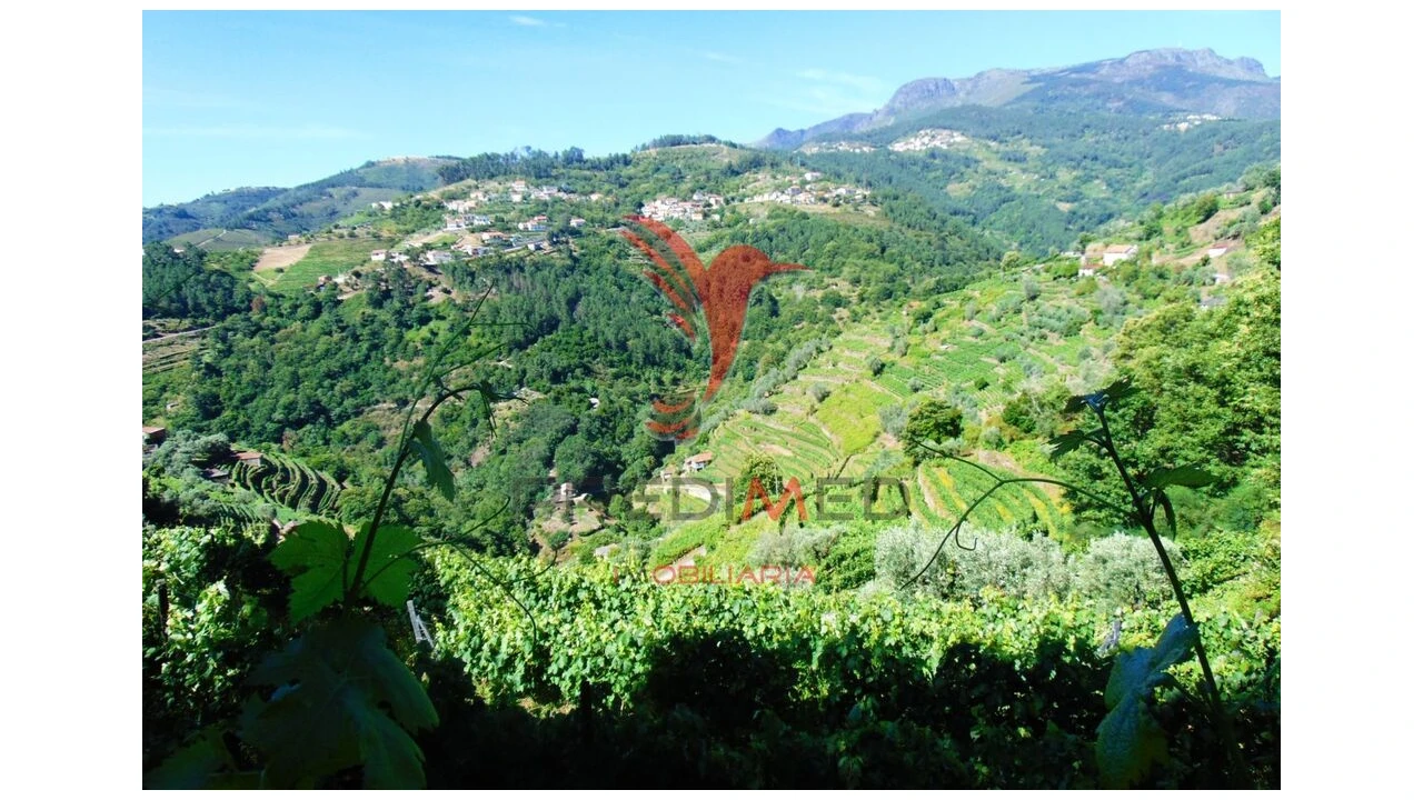 Terreno para Venda em Louredo e Fornelos Foto 4