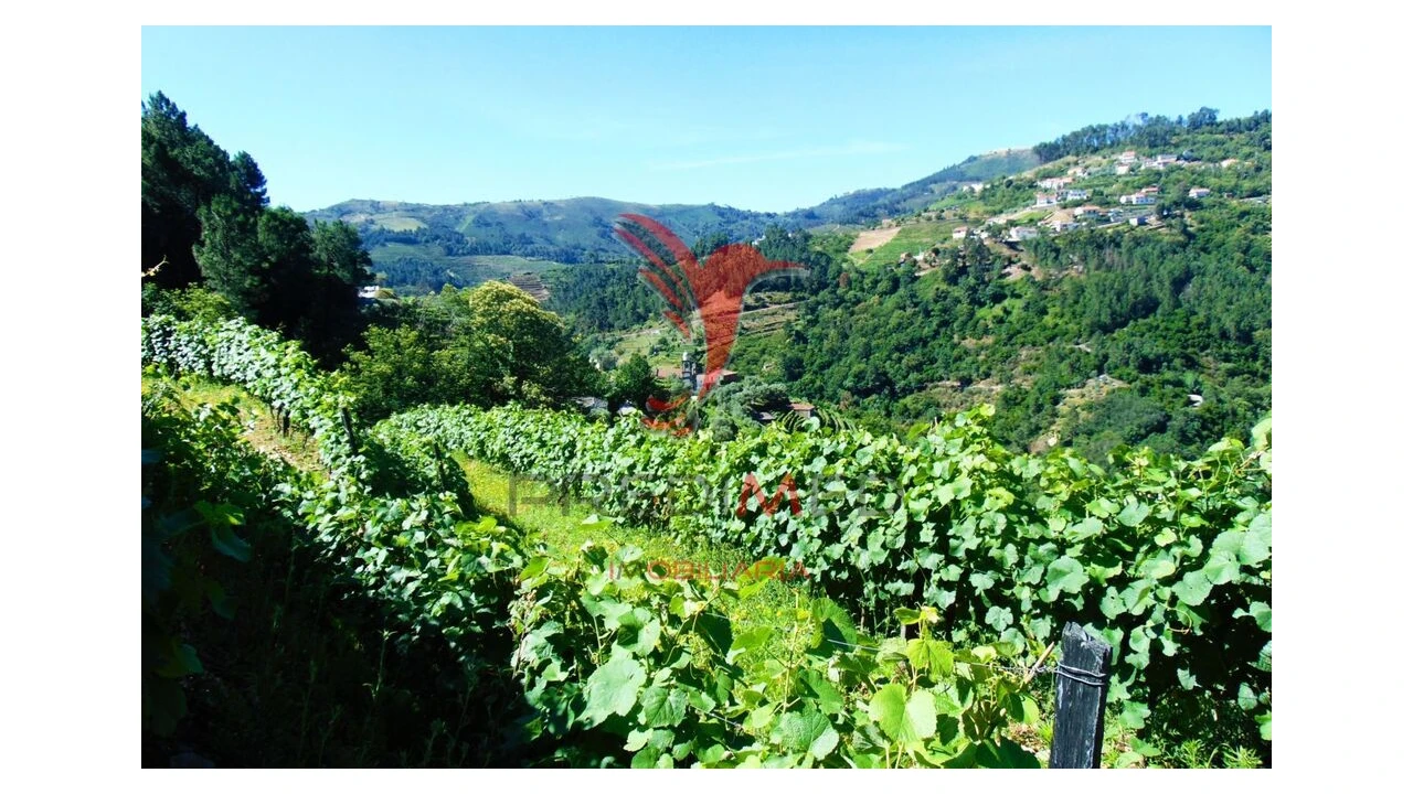 Terreno para Venda em Louredo e Fornelos Foto 12