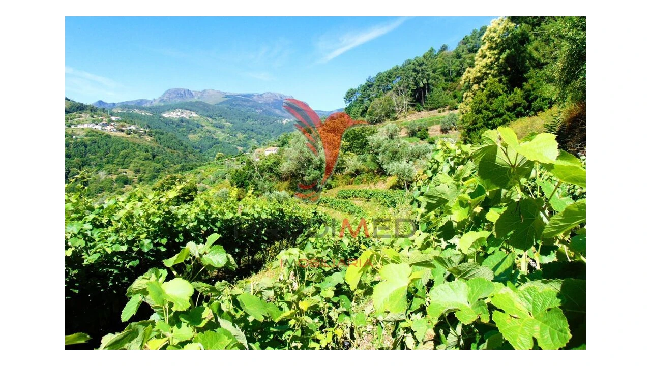 Terreno para Venda em Louredo e Fornelos Foto 14