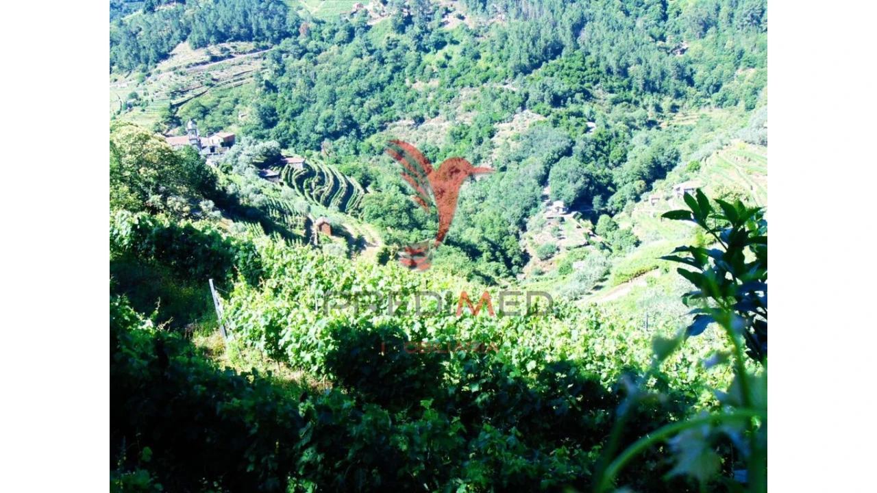 Terreno para Venda em Louredo e Fornelos Foto 9