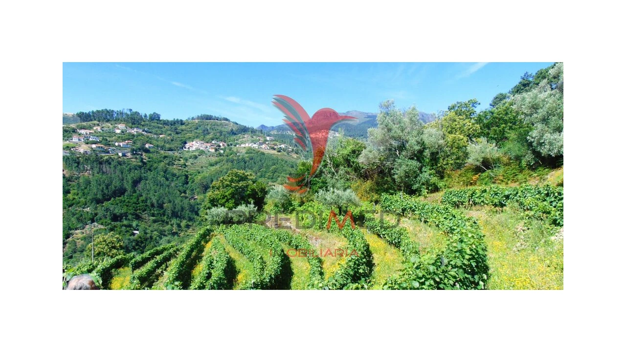 Terreno para Venda em Louredo e Fornelos Foto 2