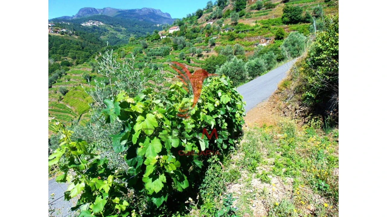 Terreno para Venda em Louredo e Fornelos Foto 19