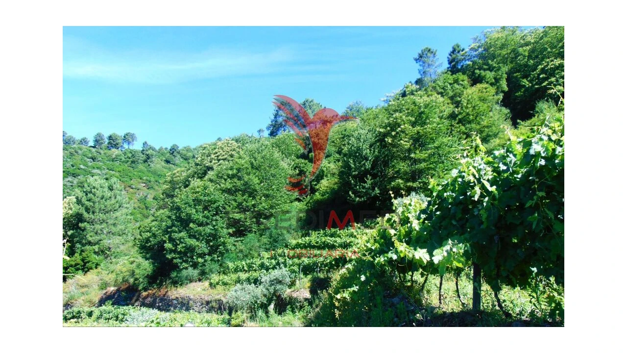 Terreno para Venda em Louredo e Fornelos Foto 11