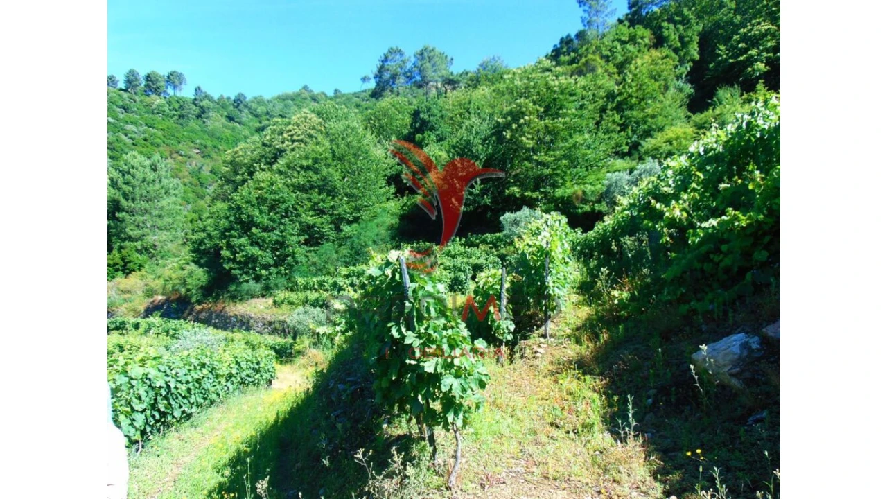 Terreno para Venda em Louredo e Fornelos Foto 10