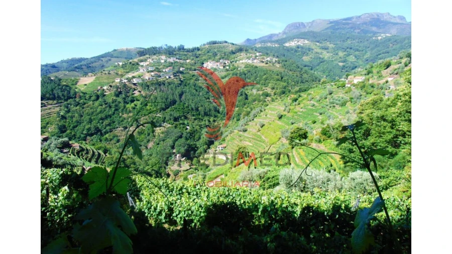 Terreno para Venda em Louredo e Fornelos Foto 4