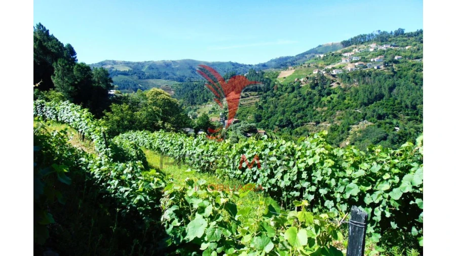 Terreno para Venda em Louredo e Fornelos Foto 12