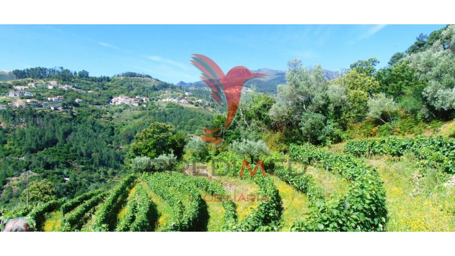 Terreno para Venda em Louredo e Fornelos Foto 2