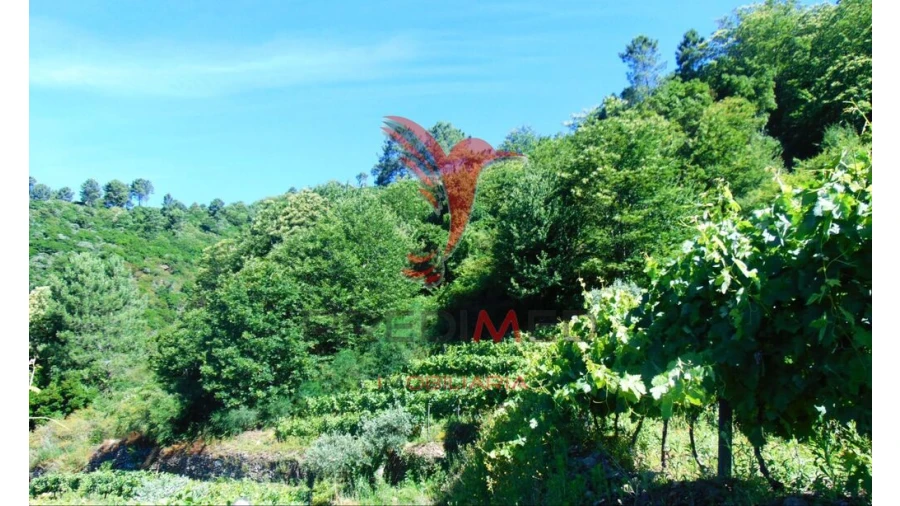 Terreno para Venda em Louredo e Fornelos Foto 11