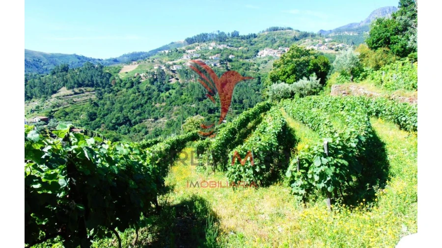 Terreno para Venda em Louredo e Fornelos Foto 16