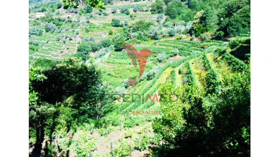 Terreno para Venda em Louredo e Fornelos
