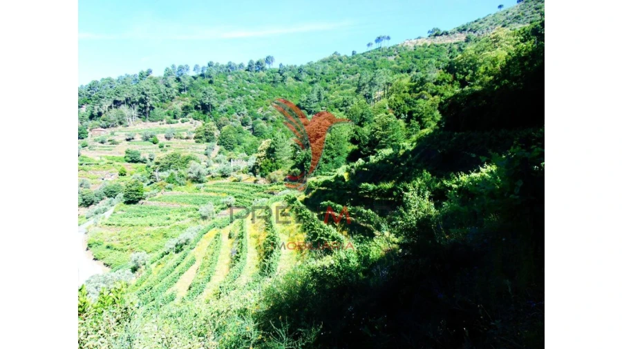 Terreno para Venda em Louredo e Fornelos Foto 6