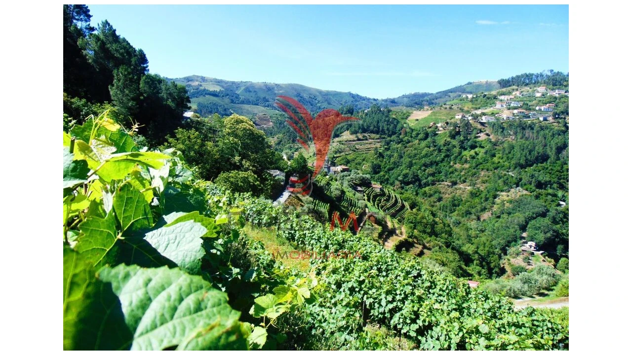 Terreno para Venda em Louredo e Fornelos Foto 13