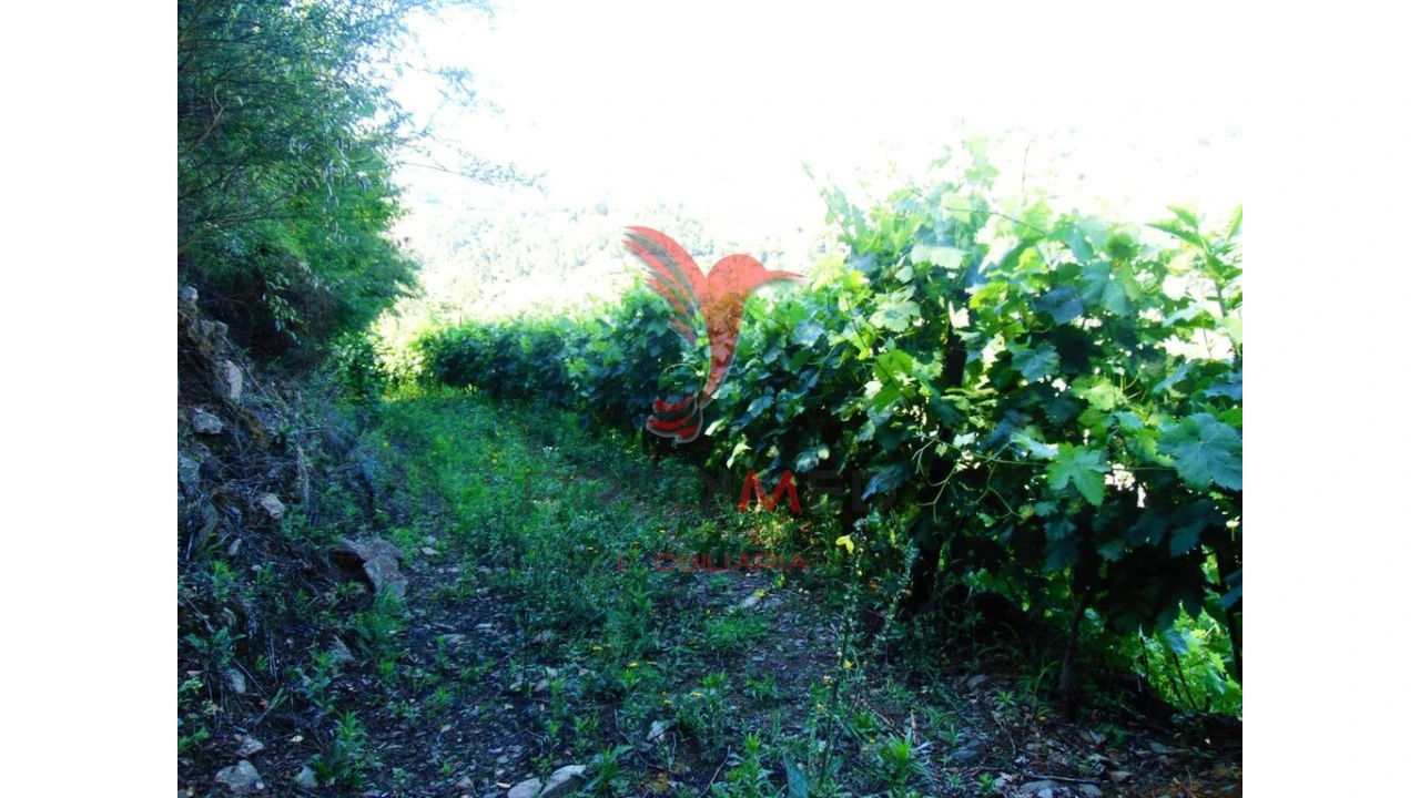 Terreno para Venda em Louredo e Fornelos Foto 8