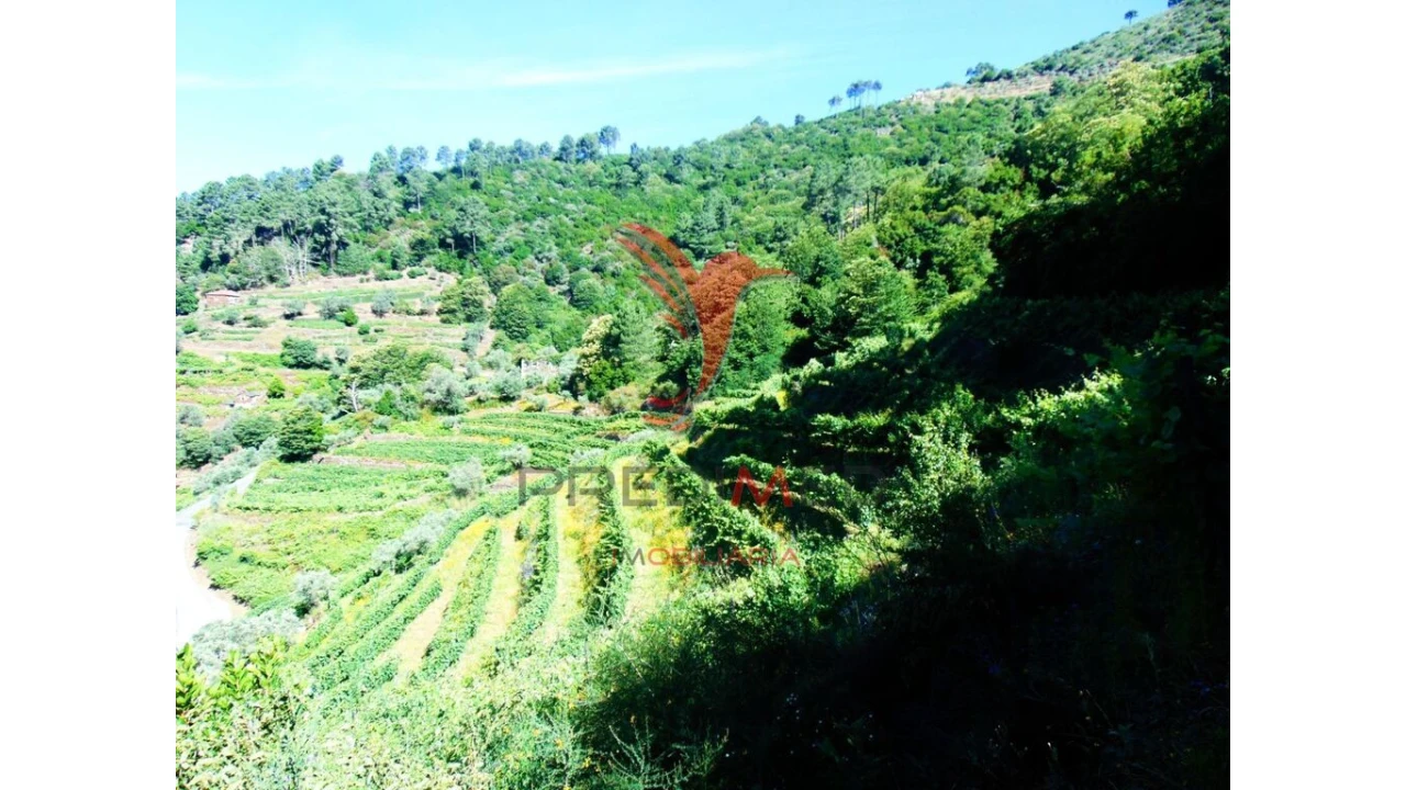 Terreno para Venda em Louredo e Fornelos Foto 6
