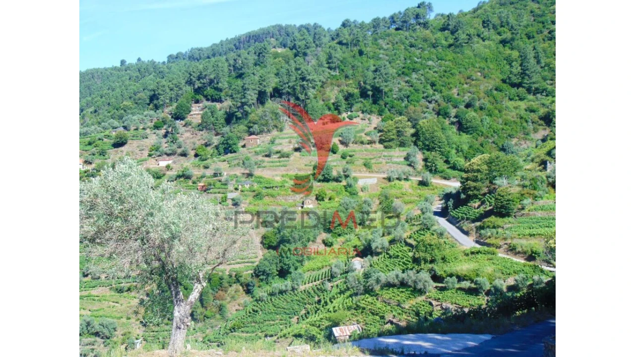 Terreno para Venda em Louredo e Fornelos Foto 3