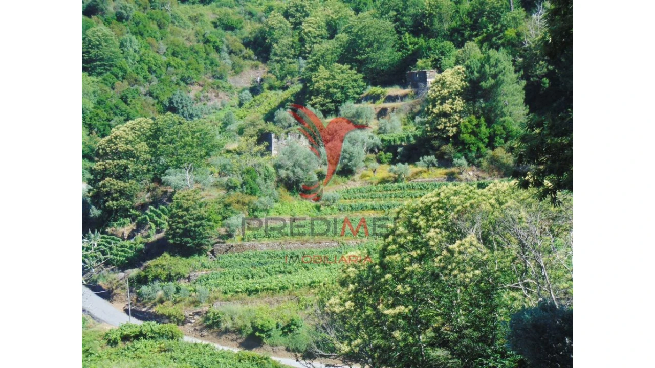 Terreno para Venda em Louredo e Fornelos Foto 5