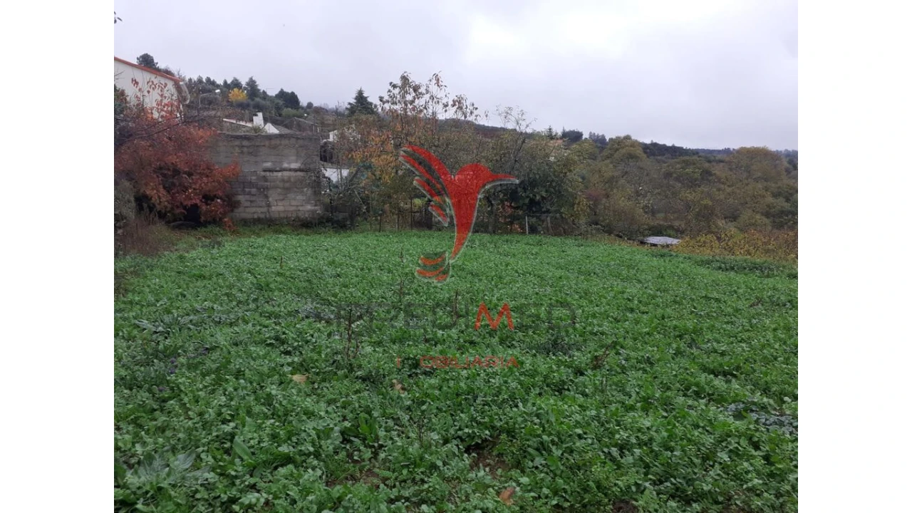 Terreno para Venda em Trancoso (São Pedro e Santa Maria) e Souto Maior Foto 2