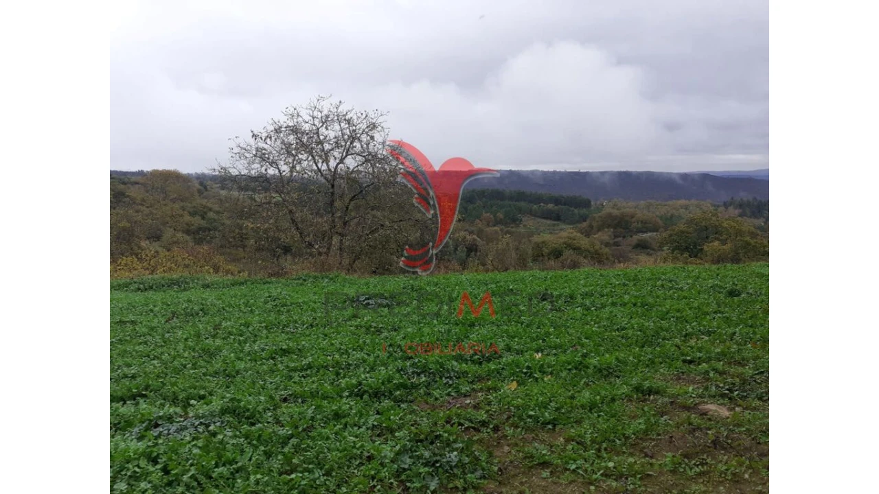 Terreno para Venda em Trancoso (São Pedro e Santa Maria) e Souto Maior Foto 7