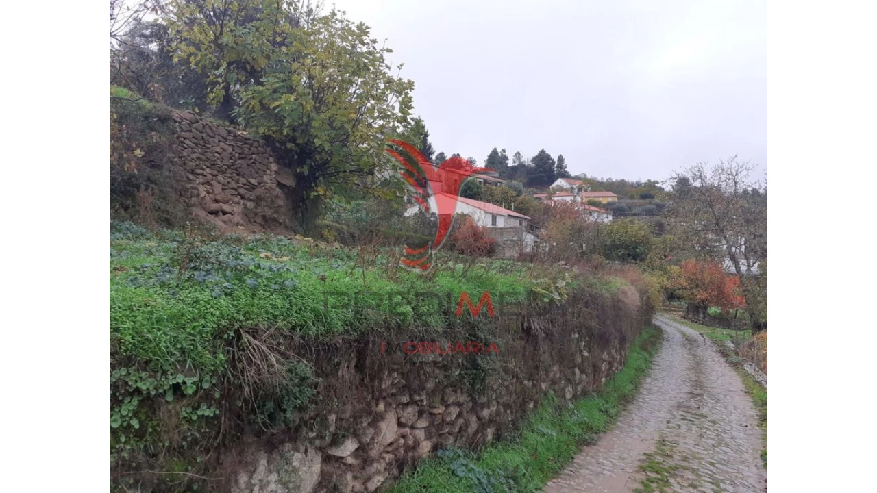 Terreno para Venda em Trancoso (São Pedro e Santa Maria) e Souto Maior Foto 8