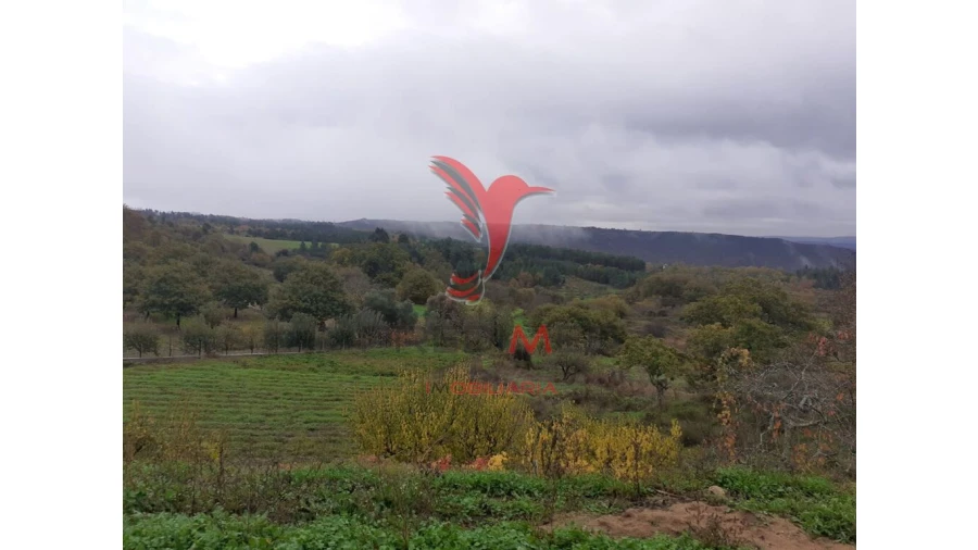 Terreno para Venda em Trancoso (São Pedro e Santa Maria) e Souto Maior Foto 9