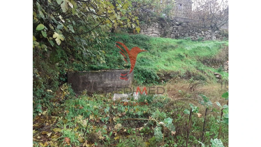 Terreno para Venda em Trancoso (São Pedro e Santa Maria) e Souto Maior Foto 3