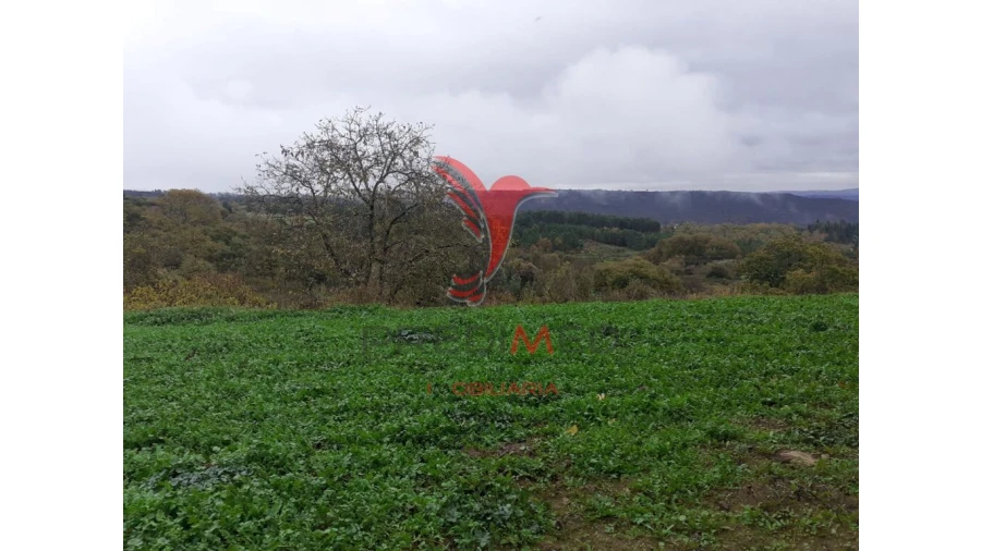 Terreno para Venda em Trancoso (São Pedro e Santa Maria) e Souto Maior Foto 7