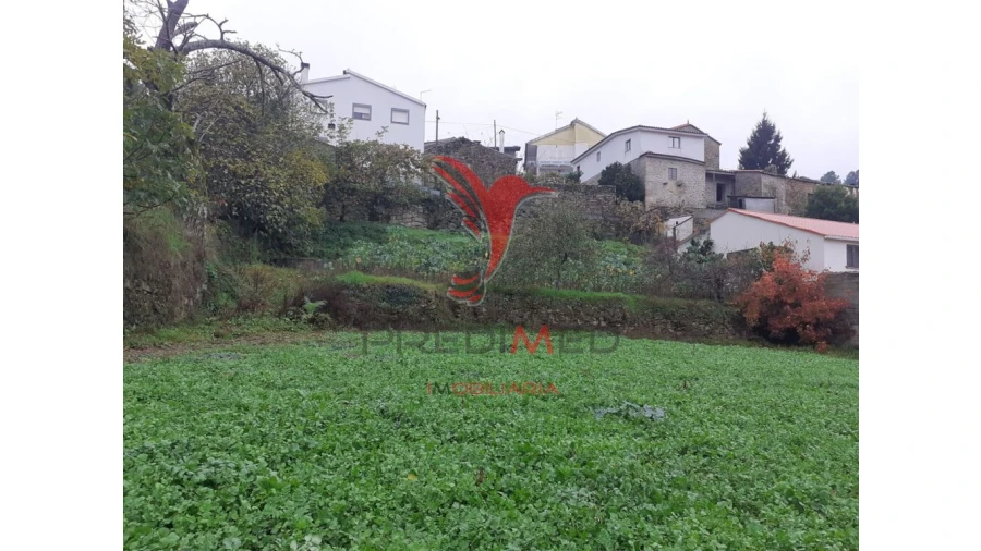 Terreno para Venda em Trancoso (São Pedro e Santa Maria) e Souto Maior Foto 5