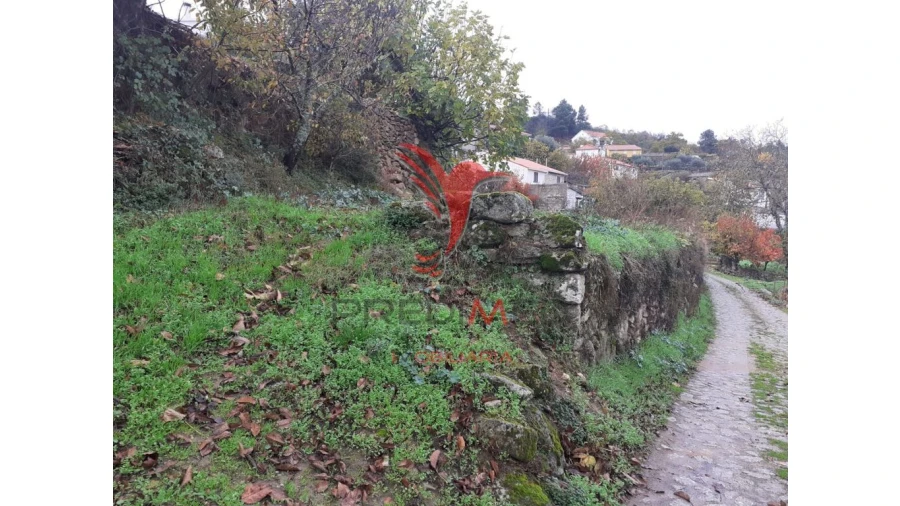 Terreno para Venda em Trancoso (São Pedro e Santa Maria) e Souto Maior Foto 4