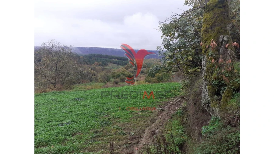 Terreno para Venda em Trancoso (São Pedro e Santa Maria) e Souto Maior Foto 6