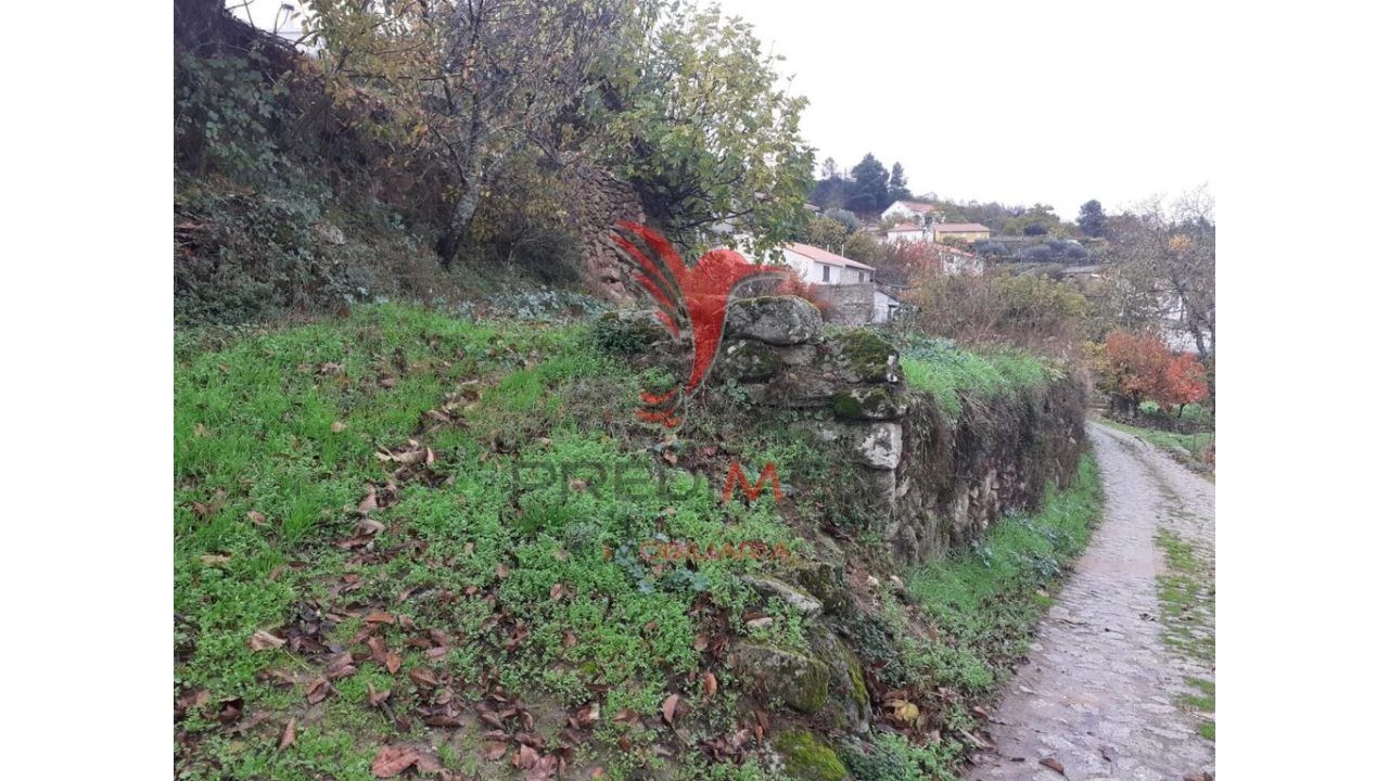 Terreno para Venda em Trancoso (São Pedro e Santa Maria) e Souto Maior Foto 4