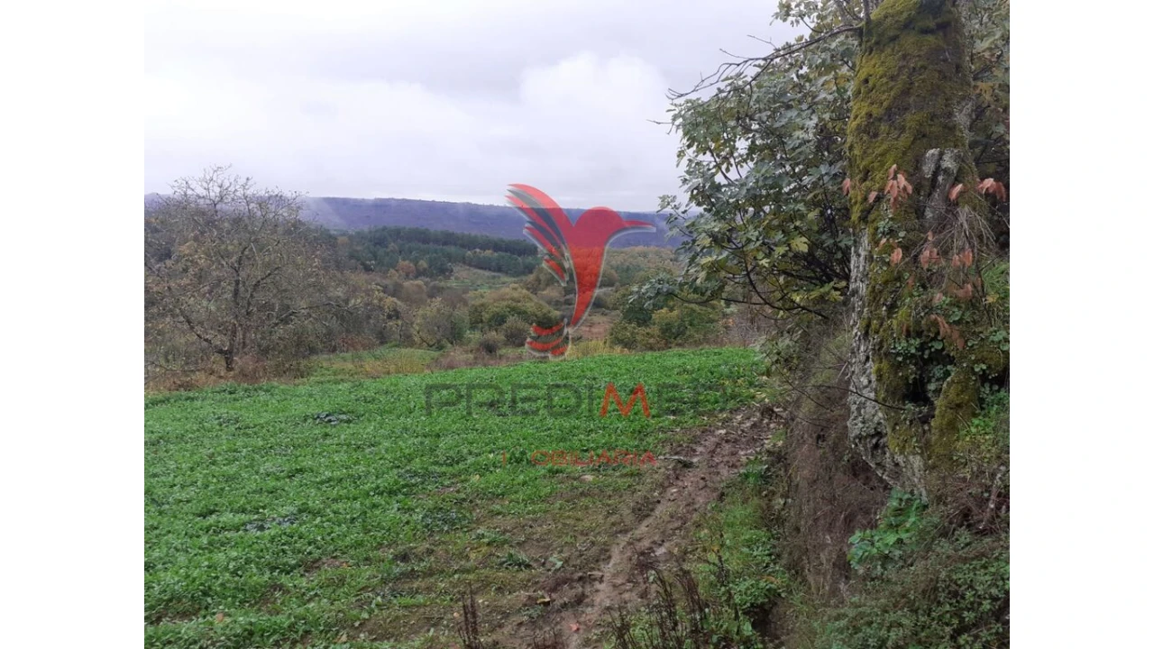 Terreno para Venda em Trancoso (São Pedro e Santa Maria) e Souto Maior Foto 6