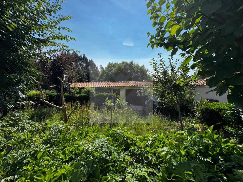 Moradia T3 para Venda em O. Azeméis, Riba-Ul, Ul, Macinhata Seixa, Madail Foto 23