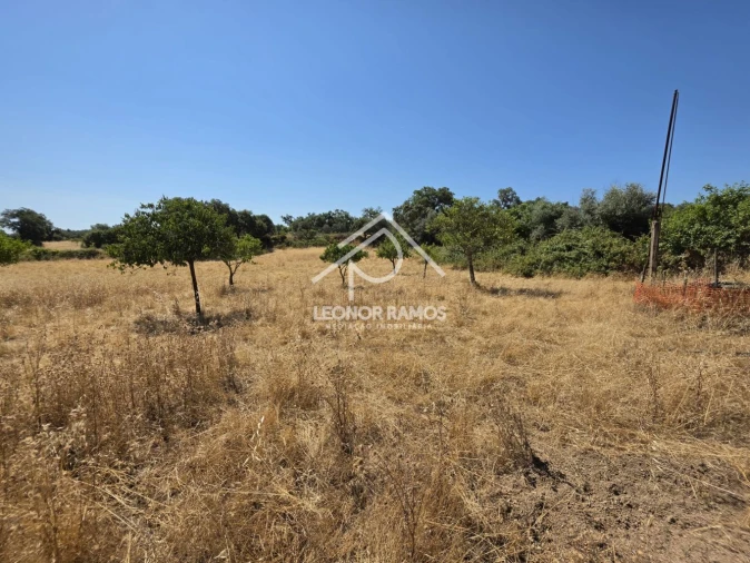 Terreno para Venda em Escalos de Cima e Lousa Foto 17