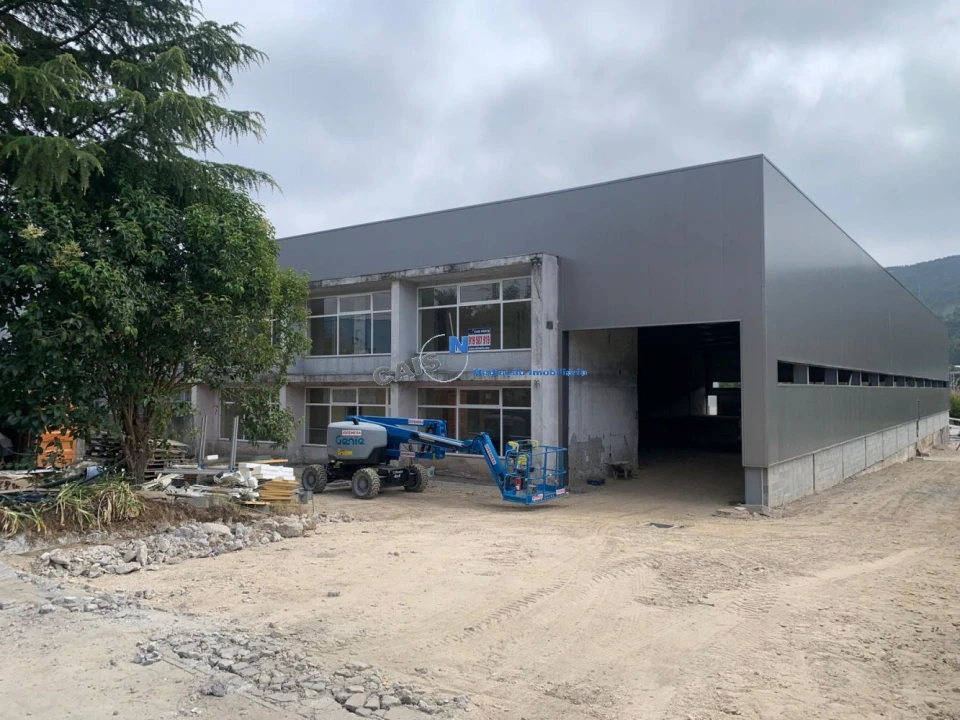 Loja para Venda em Campo e Sobrado Foto 14